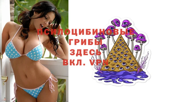 мет Алексеевка