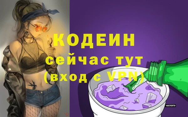 гашик Алзамай