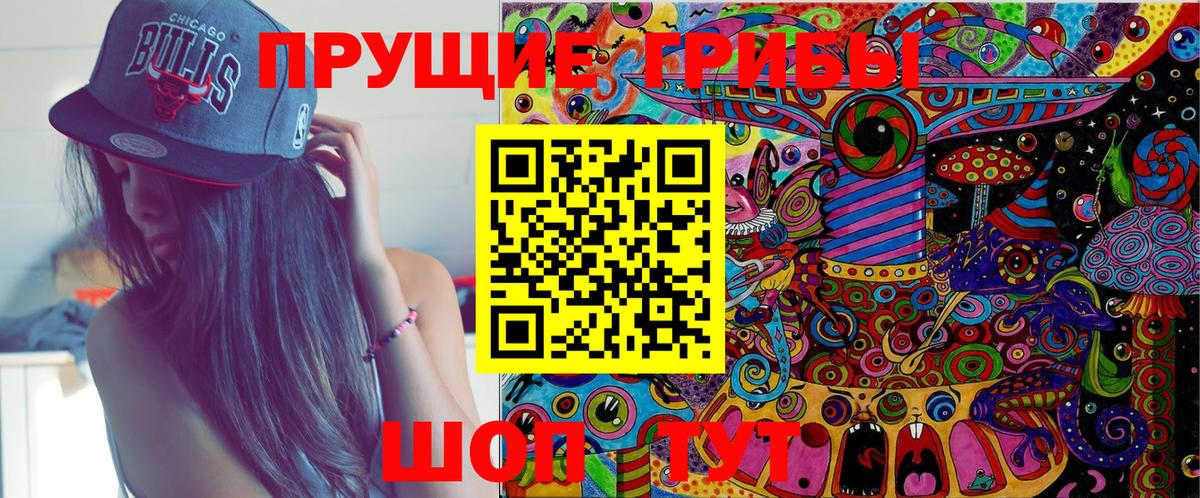 Десногорск  Псилоцибиновые грибы GOLDEN TEACHER  Вход с VPN  Псилоцибиновые грибы мицелий 
