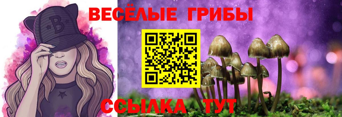 Галлюциногенные грибы GOLDEN TEACHER Десногорск